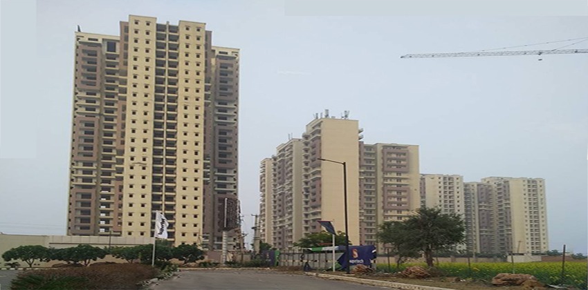 Supertech Belfair Gurgaon New Gurgaon (NH8) Apartment Residential